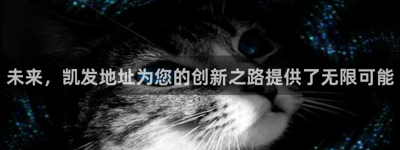 u8国际是什么