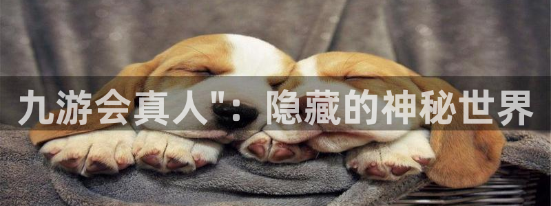 u8是什么意思