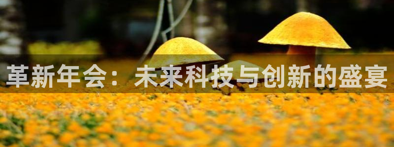u8集团