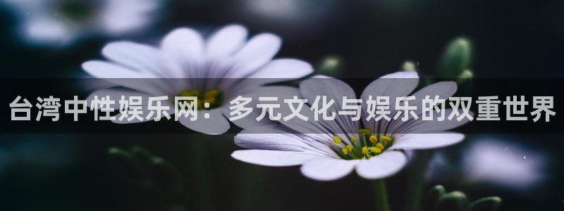 u8是什么意思