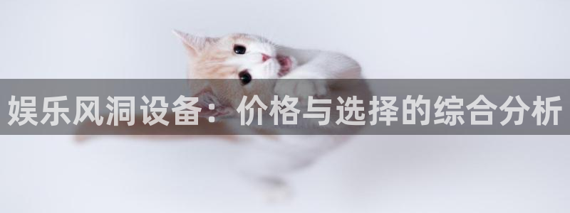 u8国际集团引商