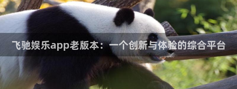 u8国际网站特惠活动上线.游戏新版更新.中国