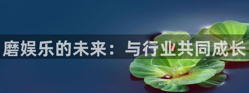 u8国际是什么