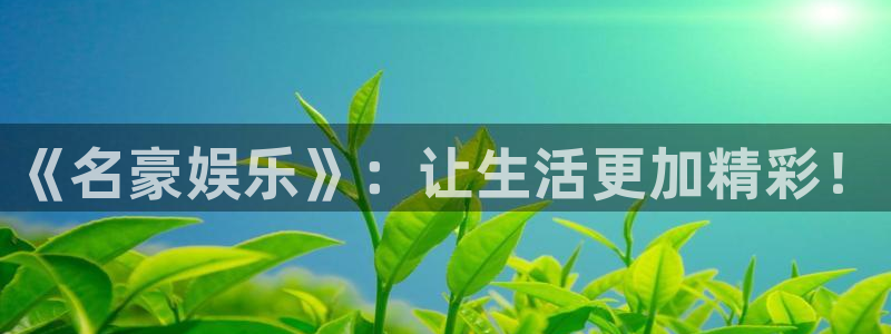 U8国际官网