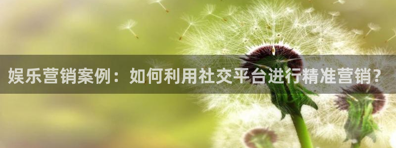 u8国际登录网址