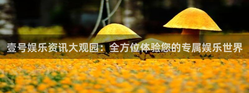 u8是什么意思