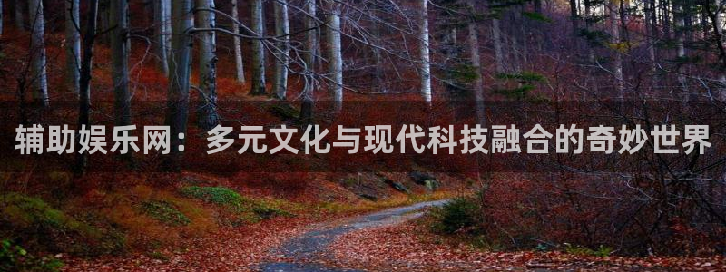 u8国际登录网址
