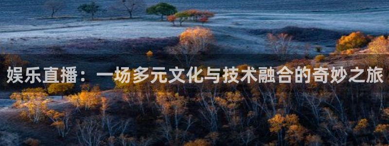 u8国际平台