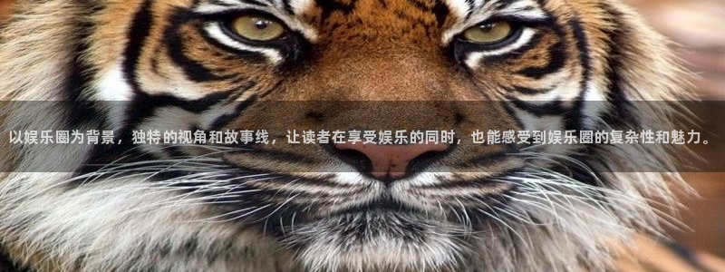 u8国际网站前言：以娱乐圈为背景，独特的视角和故事线，让读者在享受娱乐的同时，也能感受到娱乐圈的复杂性和魅力。