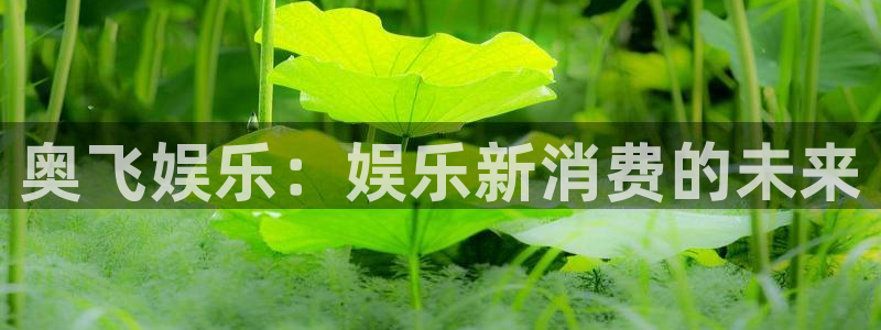 u8国际网站前言：奥飞娱乐：娱乐新消费的未来