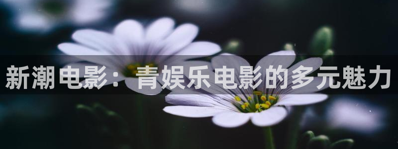 u8国际界面申领：新潮电影：青娱乐电影的多元魅力