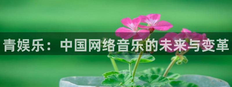 u8国际官网：青娱乐：中国网络音乐的未来与变革