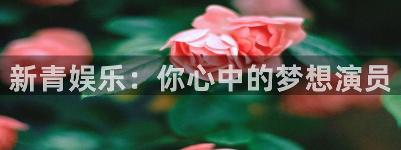 优发国际平台u8：新青娱乐：你心中的梦想演员