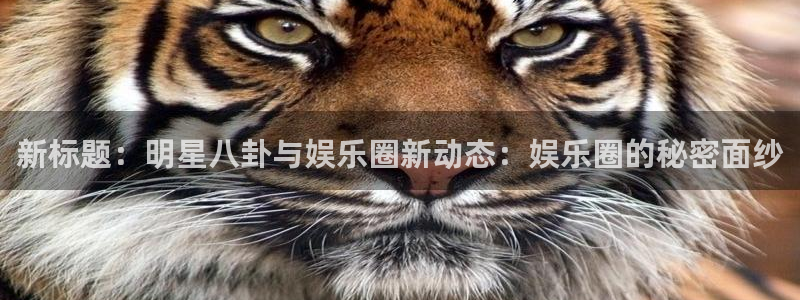 u8国际集团引商：新标题：明星八卦与娱乐圈新动态：娱乐圈的秘密面纱