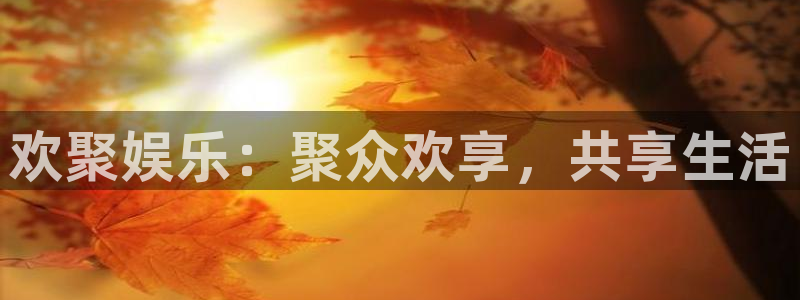 U8国际官网：欢聚娱乐：聚众欢享，共享生活