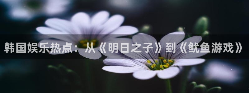 u8国际网站：韩国娱乐热点：从《明日之子》到《鱿鱼游戏》