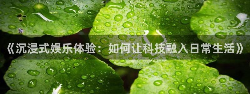 u8国际集团：《沉浸式娱乐体验：如何让科技融入日常生活》