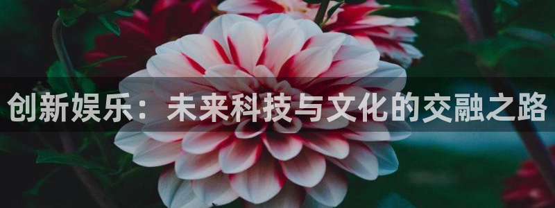 u8国际平台：创新娱乐：未来科技与文化的交融之路