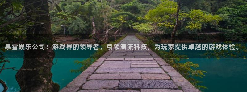 u8国际登录网址：暴雪娱乐公司：游戏界的领导者，引领潮流科技，为玩家提供卓越的游戏体验。
