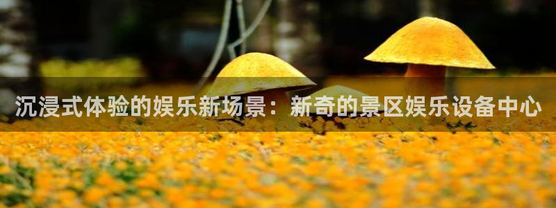 u8国际是什么：沉浸式体验的娱乐新场景：新奇的景区娱乐设备中心