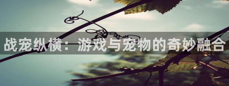 u8国际官网：战宠纵横：游戏与宠物的奇妙融合