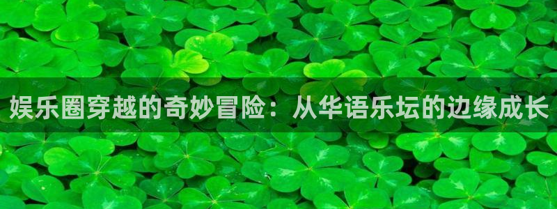 u8是什么意思：娱乐圈穿越的奇妙冒险：从华语乐坛的边缘成长