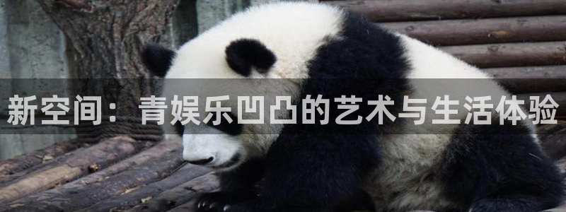 u8国际网站特惠活动上线.游戏新版更新.中国：新空间：青娱乐凹凸的艺术与生活体验