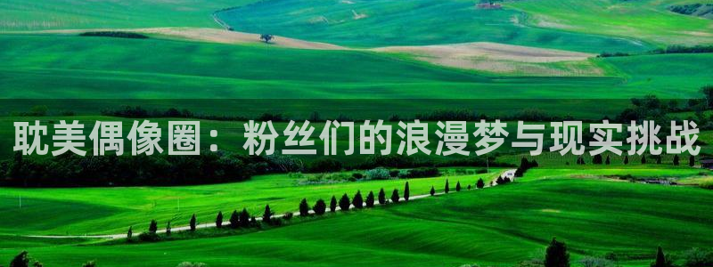 u8国际网站前言：耽美偶像圈：粉丝们的浪漫梦与现实挑战