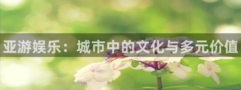 u8国际设计焕新上线.页面浏览.中国：亚游娱乐：城市中的文化与多元价值