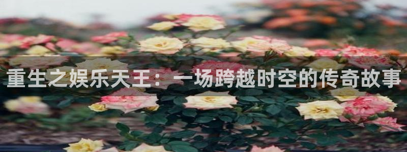 u8娱乐官网入口：重生之娱乐天王：一场跨越时空的传奇故事